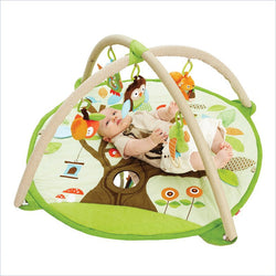 Skip Hop Treetop Friends Developmental Toys Activity Gym