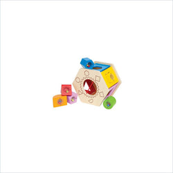 HaPe Toys Shake and Match Shape Sorter