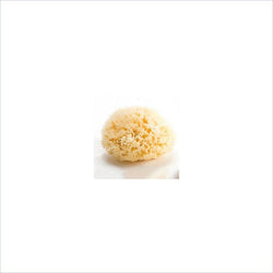 Bellini Natural Sea Sponge Honeycomb