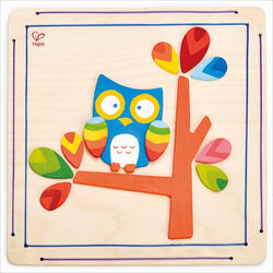 Hape Hoot Owl Paint and Frame