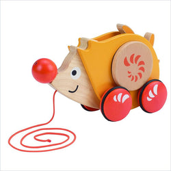 Hape Walk A-Long Hedgehog