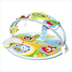 Skip Hop Explore and More Amazing Arch Activity Gym