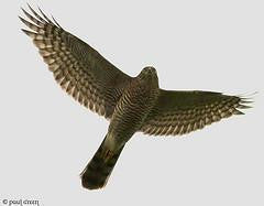 prod 1 test test test test test test test test test testtest test test test testtest test test test testtest test test test testtest test test test testtest test test test test