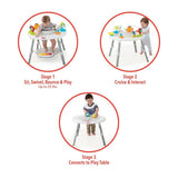 Skip Hop Explore & More Baby's View 3-Stage Activity Center