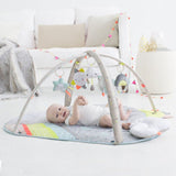 Skip Hop Silver Linings Cloud Collection Activity Gym