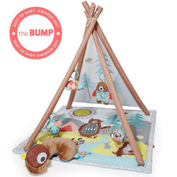 Skip Hop Camping Cubs Activity Gym
